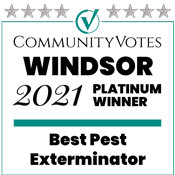 windsor best pest control